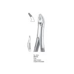 <h1>Extracting Forceps</h1> <h4> Fórceps De Extracción </h4> <h4> Zahnzangen </h4>