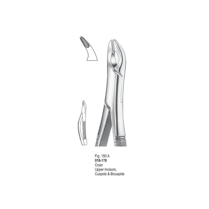 Extracting Forceps 018-170