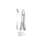 <h4>Extracting Forceps</h4> <h6> Fórceps De Extracción </h6> <h6> Zahnzangen </h6>