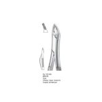 <h4>Extracting Forceps</h4> <h6> Fórceps De Extracción </h6> <h6> Zahnzangen </h6>
