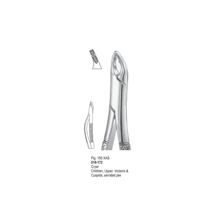 Extracting Forceps 018-172