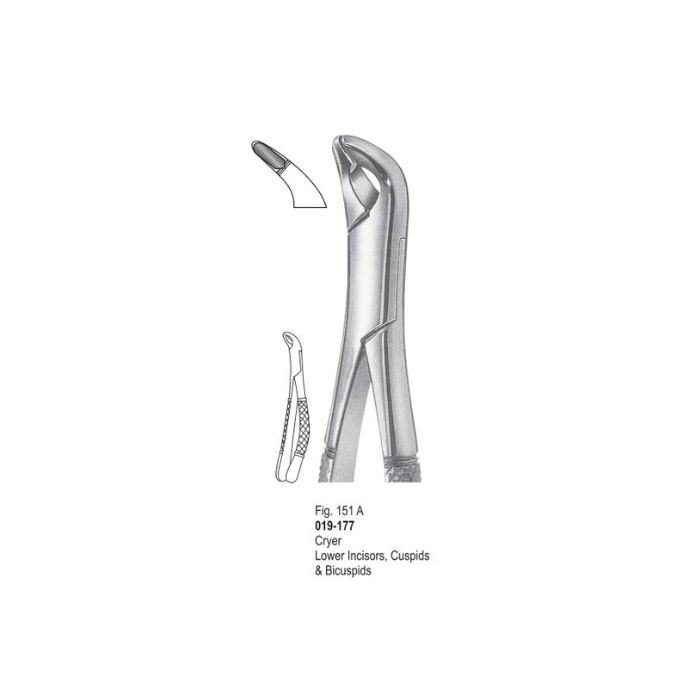 Extracting Forceps 019-177