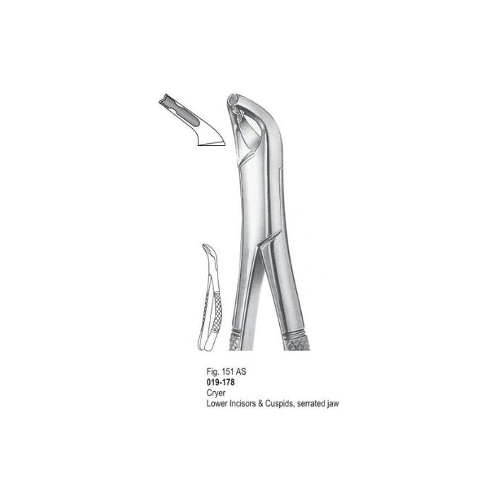 Extracting Forceps 019-178