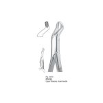 <h4>Extracting Forceps</h4> <h6> Fórceps De Extracción </h6> <h6> Zahnzangen </h6>