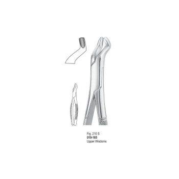 <h4>Extracting Forceps</h4> <h6> Fórceps De Extracción </h6> <h6> Zahnzangen </h6>