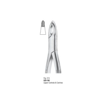 <h4>Extracting Forceps</h4> <h6> Fórceps De Extracción </h6> <h6> Zahnzangen </h6>
