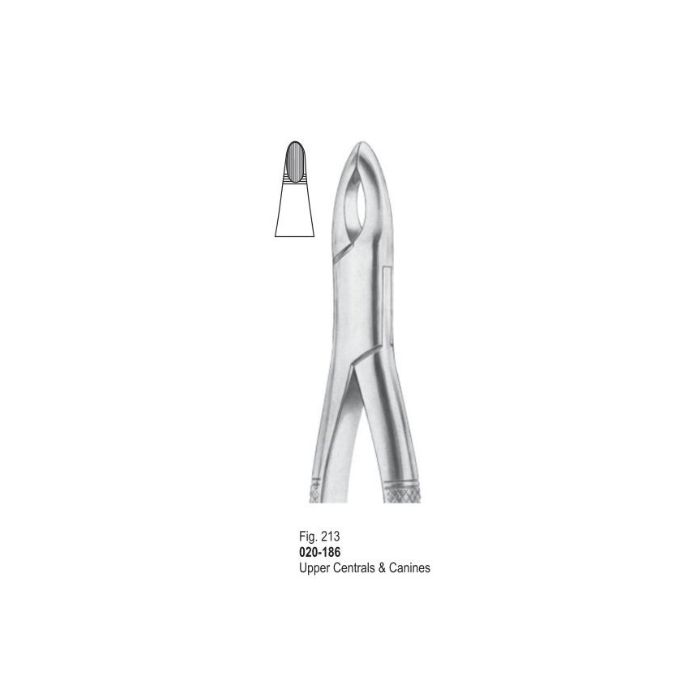 Extracting Forceps 020-186