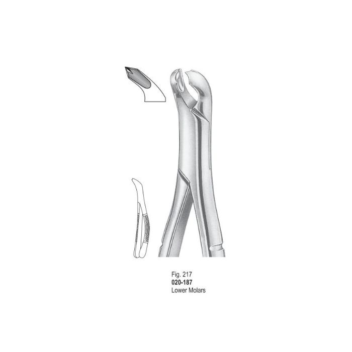 Extracting Forceps 020-187