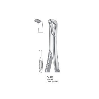 <h4>Extracting Forceps</h4> <h6> Fórceps De Extracción </h6> <h6> Zahnzangen </h6>