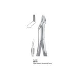 <h4>Extracting Forceps</h4> <h6> Fórceps De Extracción </h6> <h6> Zahnzangen </h6>
