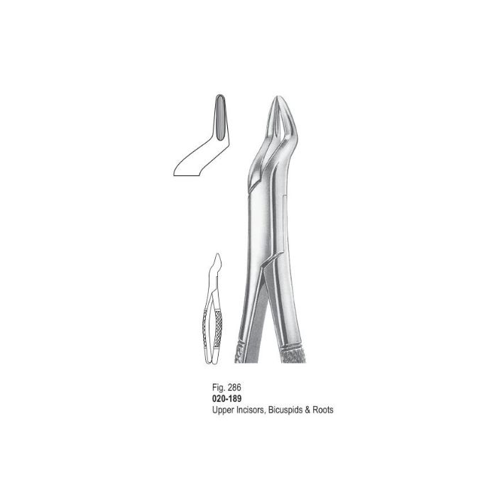 Extracting Forceps 020-189