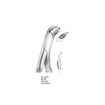 <h4>Extracting Forceps</h4> <h6> Fórceps De Extracción </h6> <h6> Zahnzangen </h6>